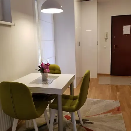 City River Apartment *